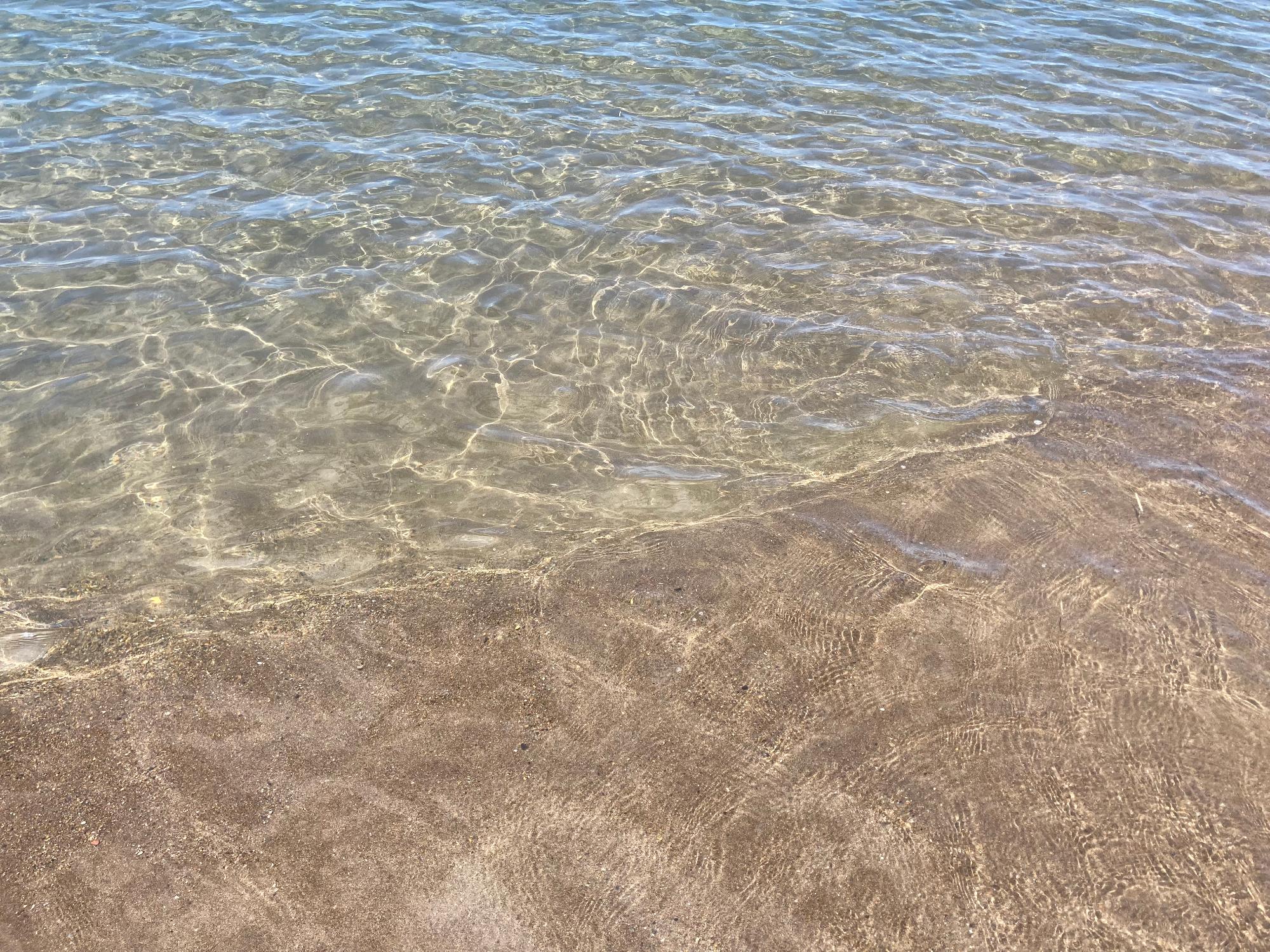 写真：おだやかな海の様子。海水に濁りがなく、浜底までよく見える状態です。