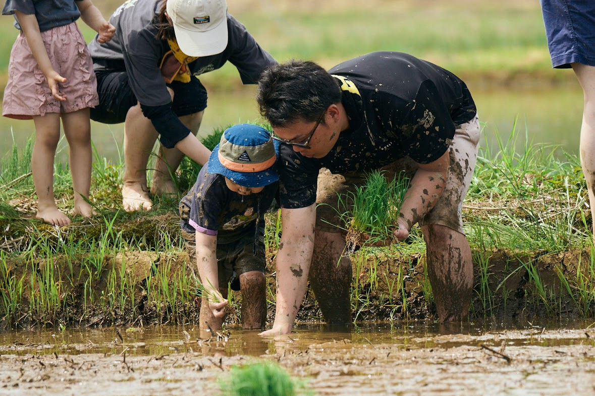 写真：子どもが苗を持ち、お父さんが指を差しながら植える位置を教えています。2人とも泥まみれになりながら田植えを楽しんでいます。