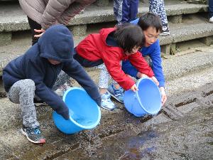 （イメージ）さけの稚魚放流体験
