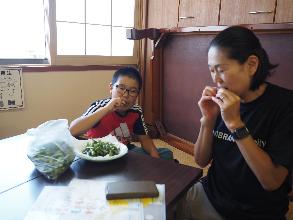 参加者の家族が試食用の枝豆を食べている写真