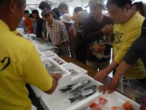 写真：発泡スチロールに入った新鮮な魚介類を品定めするお客さんでにぎわう鮮魚販売コーナー