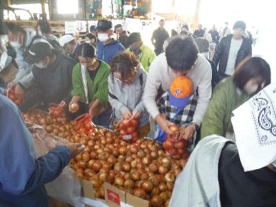 写真：ネットにたくさんのたまねぎを詰めるお客さんたち