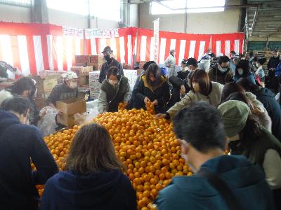 写真：山盛りのみかんの周りに集まり、詰め放題にチャレンジするお客さんたち