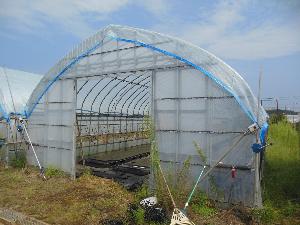 写真：遮光ネットをかけたタマネギ育苗用のビニールハウス