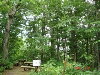 ブナ林の中に木で造られたテーブルとベンチがあり、ゆっくり森林浴ができる休憩場所の写真