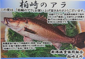 （イメージ）【期間限定】幻の高級魚「アラ」料理提供キャンペーン