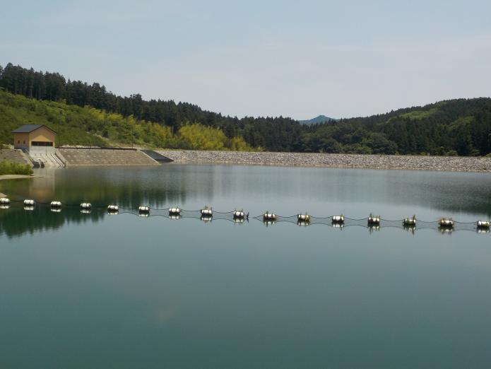 緑に囲まれたダム湖から堤体を撮影した写真