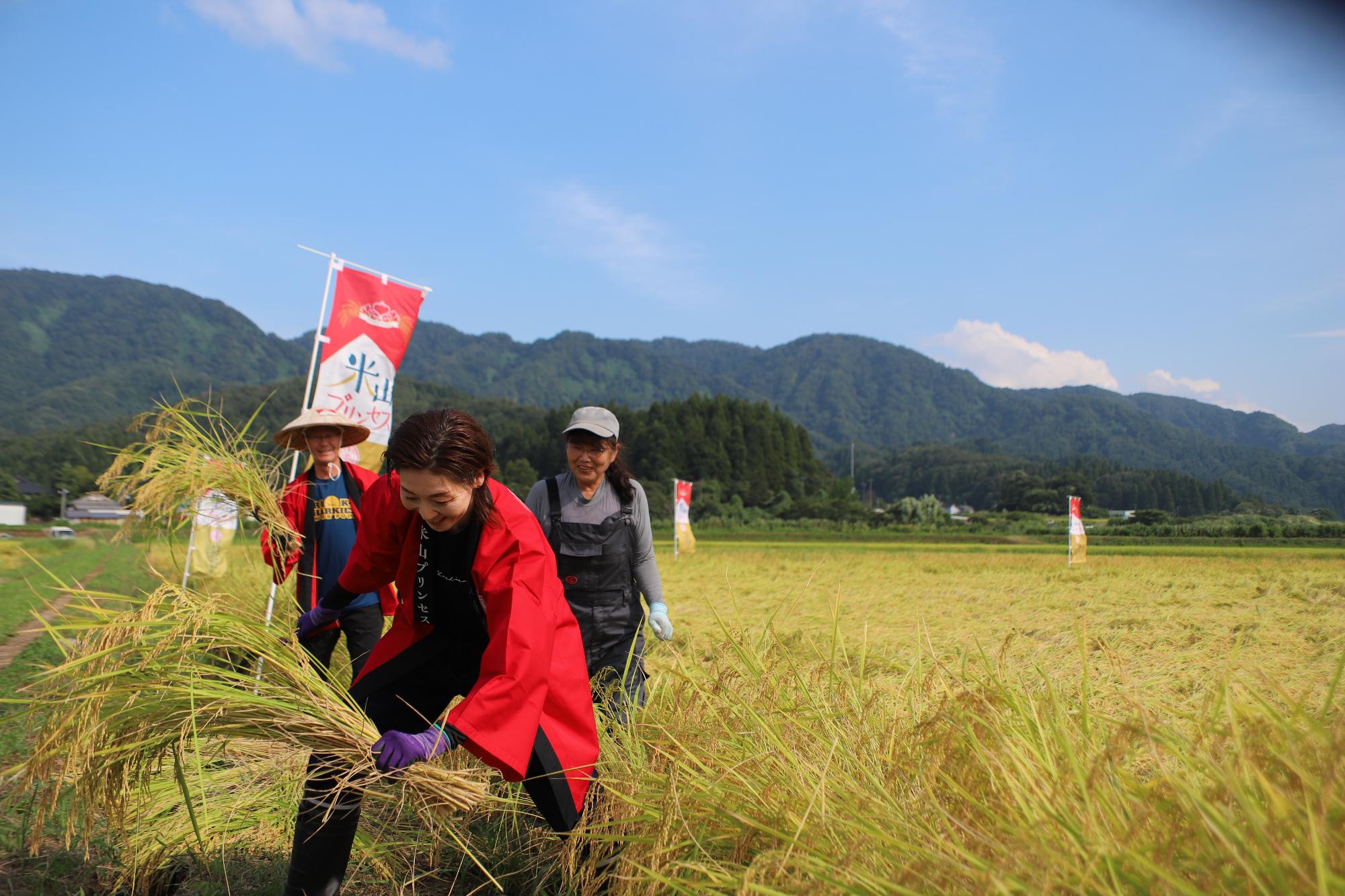 写真：生産者の水野美保さん、アンバサダーの越乃リュウさん、櫻井市長が横並びで手刈りする様子です。