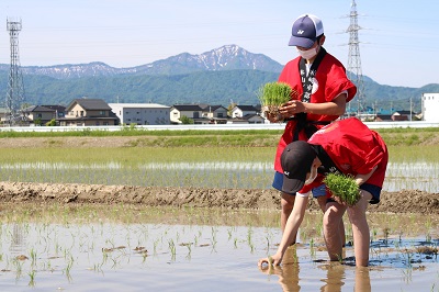 赤いはっぴを着た2人の中学生が手植えをしています。奥には米山が見えます。