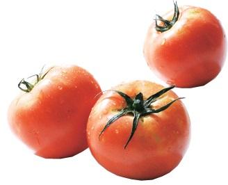 赤く、つやのある磯野辺トマトの写真