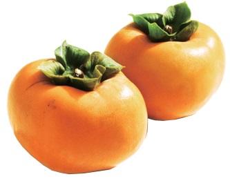 鮮やかなオレンジ色でつややかな新道柿の写真