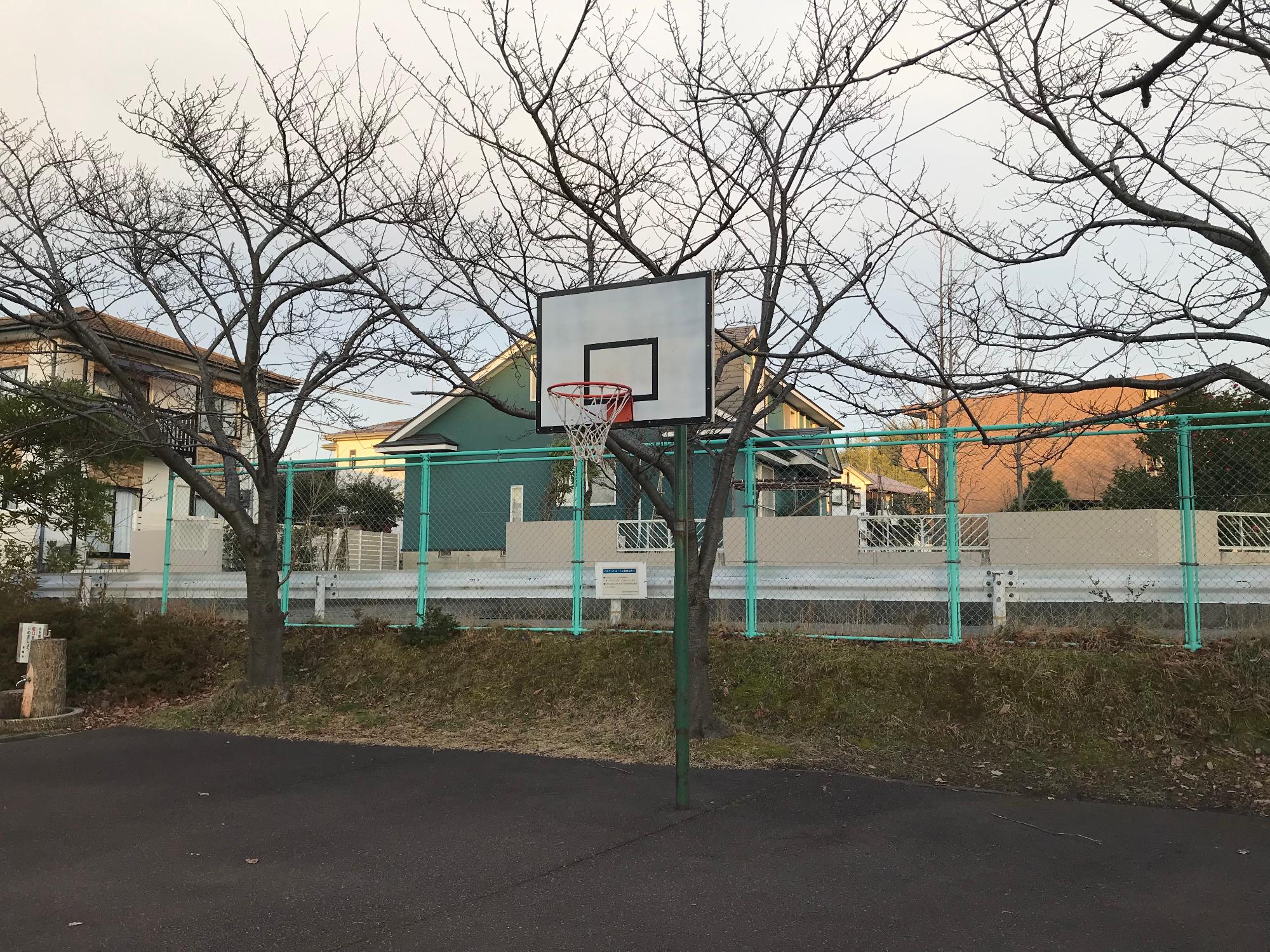 写真：公園内に設置されたバスケットゴール