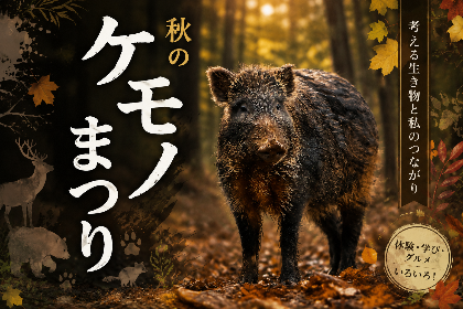 （イメージ）ケモノまつり