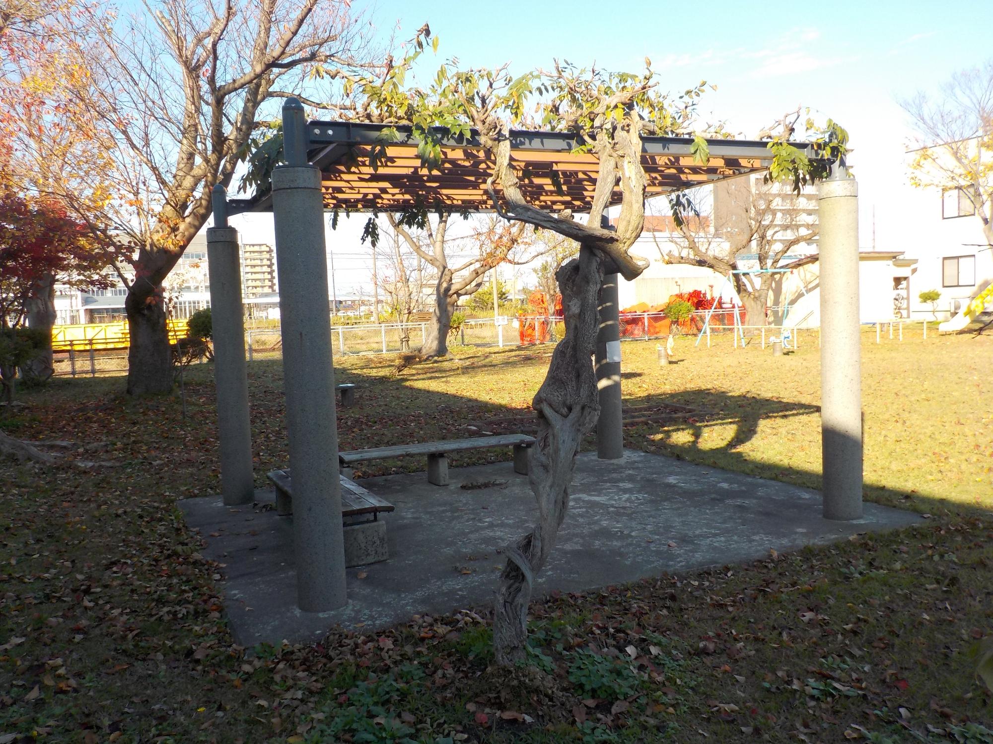 写真：植物が屋根代わりになるパーゴラの下にはベンチがあります。