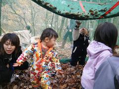子どもが一面の落ち葉の上で遊んでいる写真