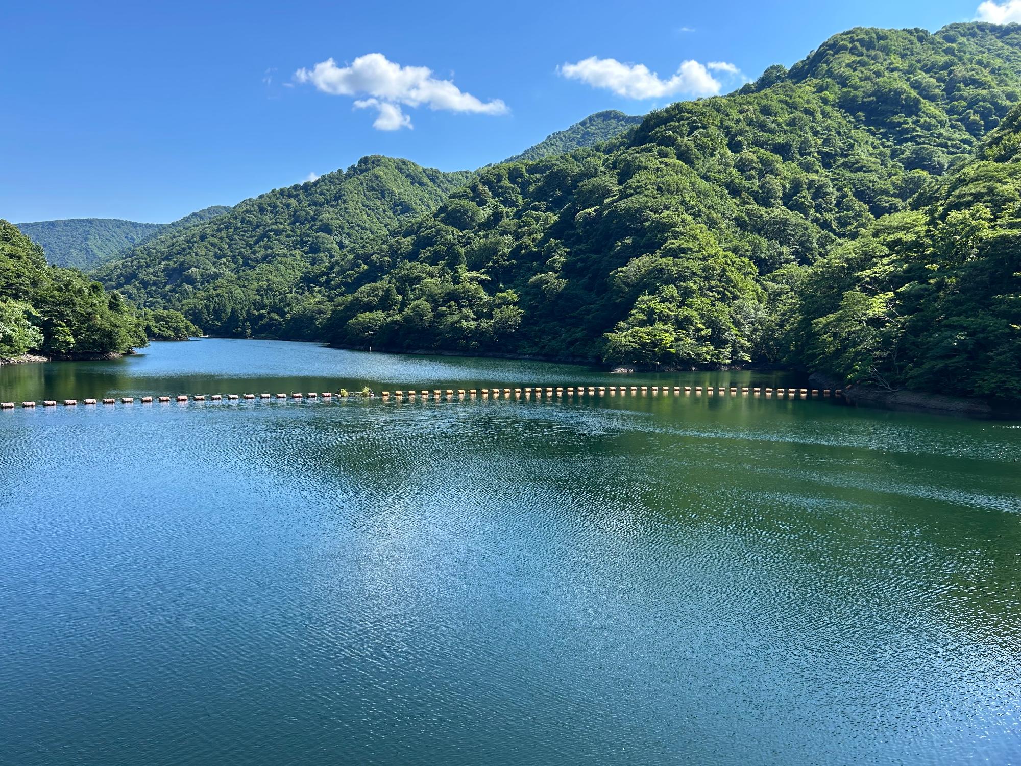 十分な水量をたたえた谷根ダムの写真