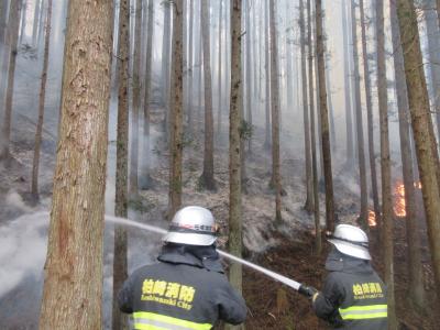 写真：林野火災を消火している2人の消防隊。杉林に白い煙が立ち込め、右側には炎が見えます。