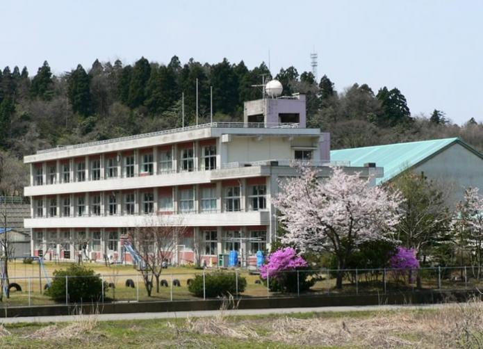 校庭に桜の木が咲いている奥に校舎が写っている写真