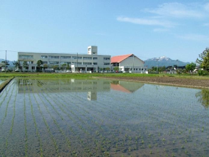 手前に田園風景が広がっている奥に3階建ての校舎と右側に赤い三角屋根の建物が建っている槇原小学校の写真