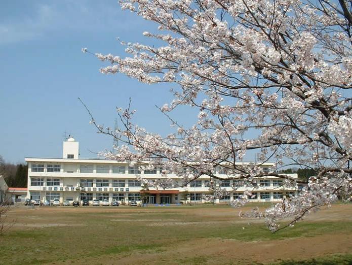 手前に桜の開花、グラウンドの奥に日吉小学校の校舎が写っている写真