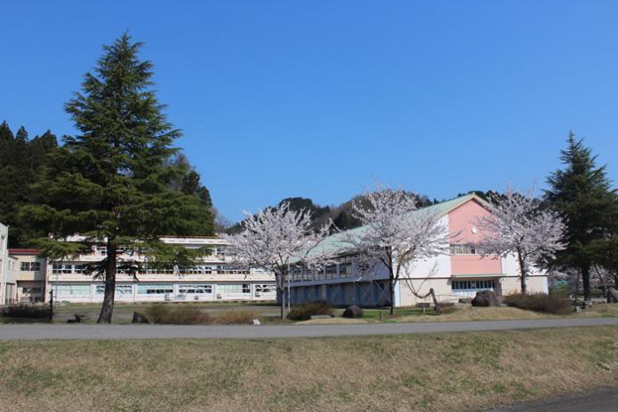 高柳小学校の校舎と校庭に大きな木と桜の木が咲いている写真