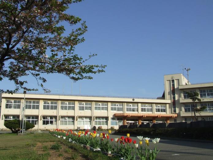 校舎の手前の通路にプランターに植えられた赤白黄色のチューリップがきれいに咲いている松浜中学校の校舎の写真
