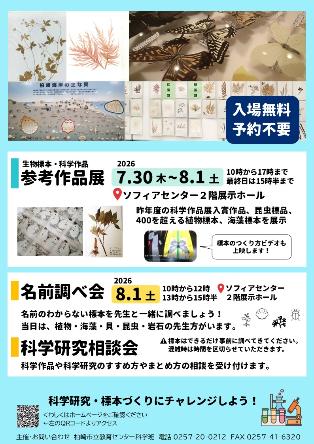（イメージ）生物標本・科学作品参考作品展
