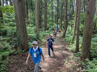 写真：久之木の大杉に続く山道を参加者が歩いています。太陽の光が遮られ涼しそうです。