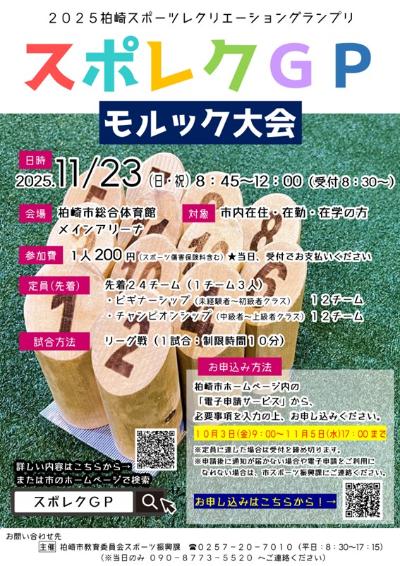 （イメージ）2025柏崎スポーツレクリエーショングランプリ「モルック大会」