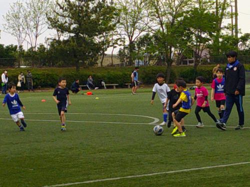 写真：市民サッカースクールの参加者がボールを蹴ったりボールを追いかけている様子です