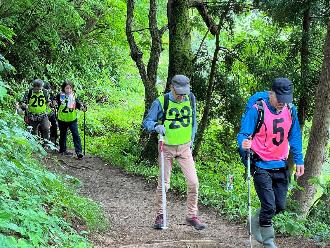 写真：男性参加者がきれいに整備された登山道を歩いています。後方には新緑が広がっています