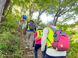 写真：複数人の参加者が階段を登っています。新緑が美しい登山道です