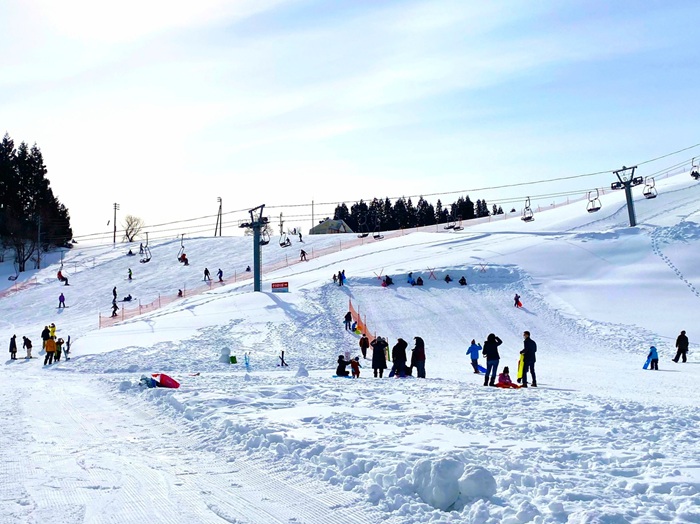 写真：高柳ガルルのスキー場の写真です。来場者がスキーやスノーボード、そりを楽しんでいます