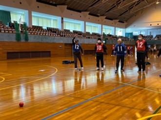 写真：青チームの男性が大きく腕を振って投球する様子