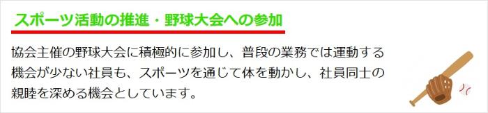 画像：協会主催の野球大会に積極的に参加し、普段の業務では運動する機会が少ない社員も体を動かし社員同士の親睦を深める機会としています