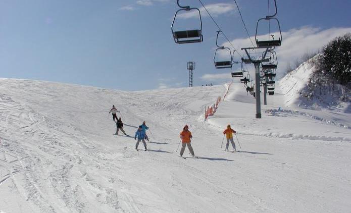 写真：スキー場の写真です。来場者がスキーを楽しんでいます