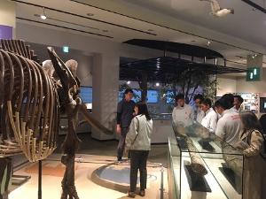 写真：ナウマンゾウの骨格標本を横に博物館の学芸員から説明を受けています