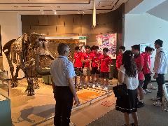 写真：学芸員の説明を聞く選手たち