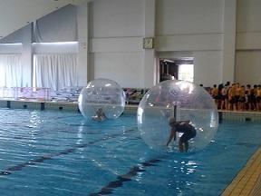 プールに浮かべた大きなボールの中に入り、楽しく遊ぶ参加者たちの写真