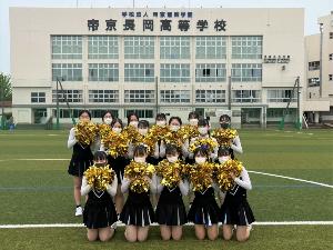 写真：帝京長岡高校チアリーディング部の集合写真です。手に金色のポンポンを持っています