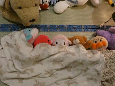 写真：毛布を掛けられたるぬいぐるみたち