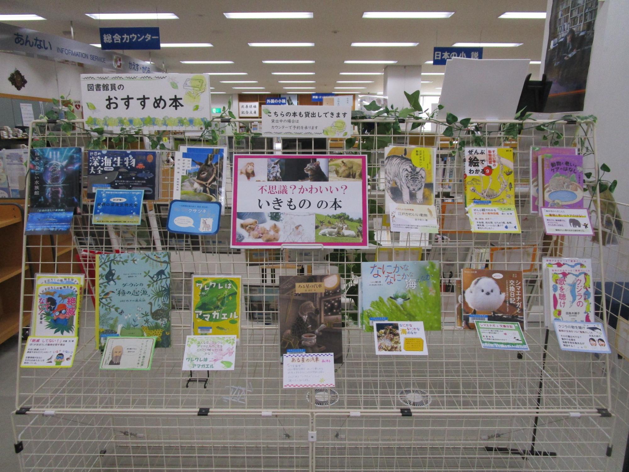 写真：図書館員のおすすめ本コーナー。表紙が見えるようにおすすめ本（貸し出し中の場合は表紙のカラーコピー）が陳列されています。