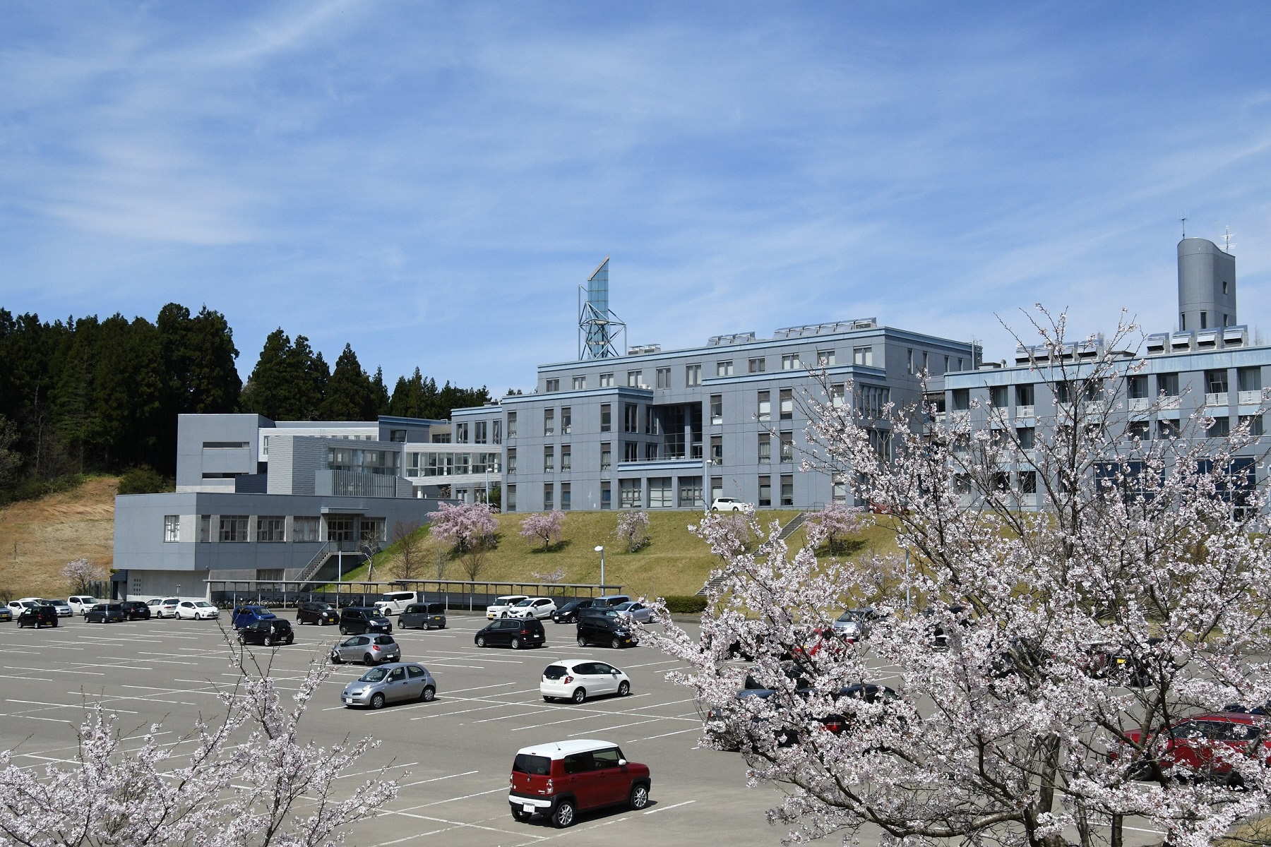 青空のもと満開の桜とともに撮影された新潟工科大学の校舎の写真