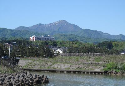 今年の米山