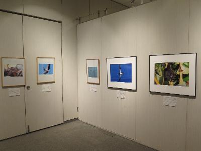 （イメージ）第31回動植物スケッチ・写真展