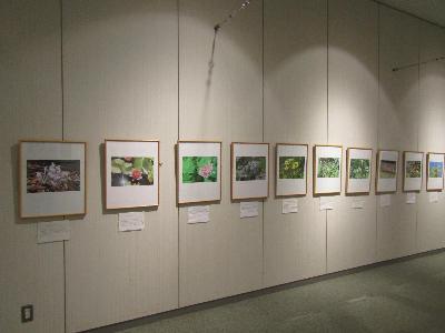 （イメージ）第33回動植物スケッチ・写真展