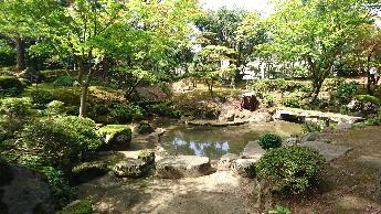 中央に池が写り、その周りを庭石や庭木が置かれています