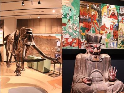 （イメージ）博物館常設展示を無料開放します ―5月17日は国際博物館の日