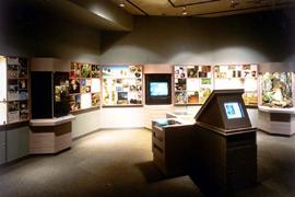 自然展示室に柏崎の大地と生きものを展示している写真