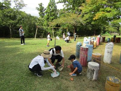 （イメージ）令和8(2026)年度昆虫標本づくり教室